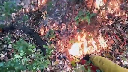 كاليفورنيا تلجأ إلى النيران لمكافحة الحرائق المدمّرة