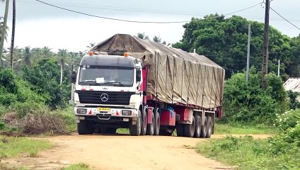 Crise dans la filière hévéa : Le Ministre de l'Agriculture Kobenan Kouassi Adjoumani obtient un compromis avec les acteurs