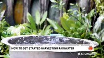 What is rainwater harvesting and is it legal where you live?