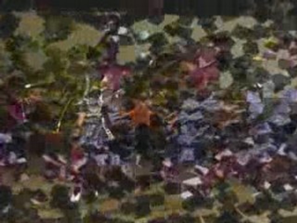 Le Cadre Noir de Saumur