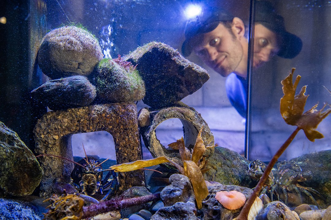 Whitby Marine Discovery Centre
