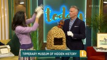 RTE Today Show 06/11/23 - Dr Claudia Kinmonth