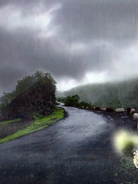 Rain sounds for sleeping - Rain sound in a forest - Thunderstorm sounds - ytshorts