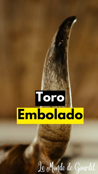 Toro embolado