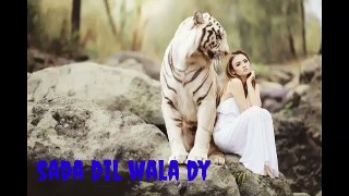 Sada_Dil_Wala_Dy_(Slow_and_Reverb)_New_saraiki_song