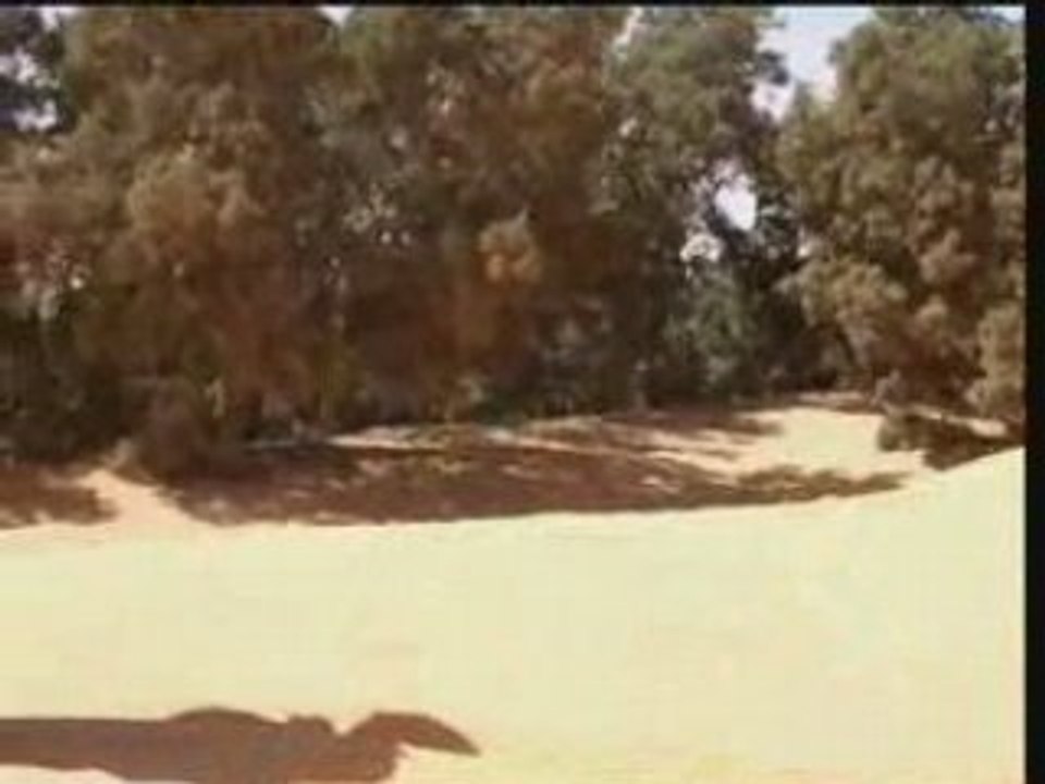 Springen ksar mp4 352x288