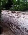 Lluvias en Olancho desbordan quebrada de Jutiquile