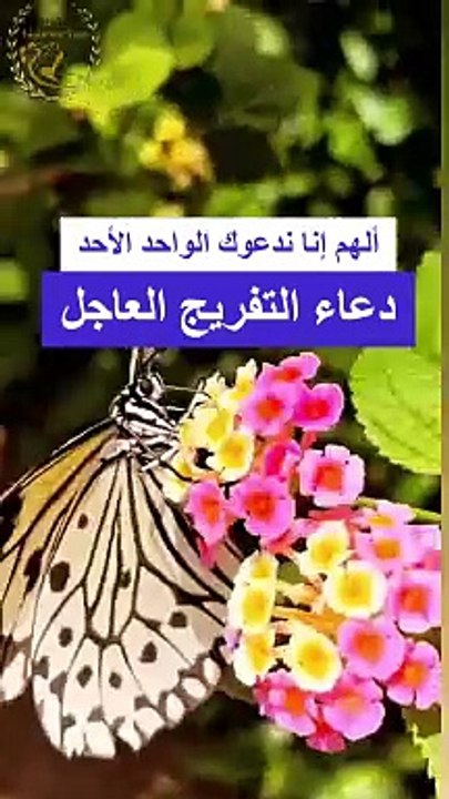ألهم إنا ندعوك الواحد الأحد