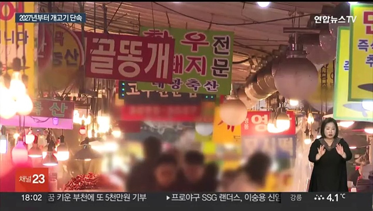 '개 식용 금지' 특별법 연내 추진…반발도 여전