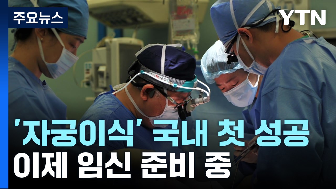 '자궁 이식' 국내 의료진 첫 성공...임신도 준비 / YTN