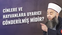 Cinlere ve Hayvanlara Uyarıcı Gönderilmiş midir?
