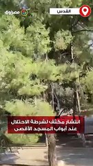 انتشار مكثف لشرطة الاحتلال عند أبواب المسجد الأقصى