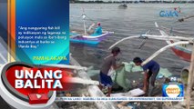 Mahigit 30 pamilya sa Cavite City, inilikas dahil sa masangsang na amoy ng mga patay na isda | UB