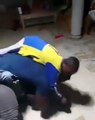 Francis Ngannou : Le champion camerounais se fait violemment terrasser (VIDEO)