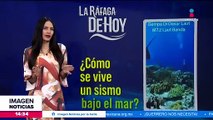 Así se vive un sismo bajo el mar