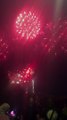 Le Feu d’artifice du 14 juillet Grenoble  Parc Jean-Verlhac Villeneuve #france #grenoble #show (1)