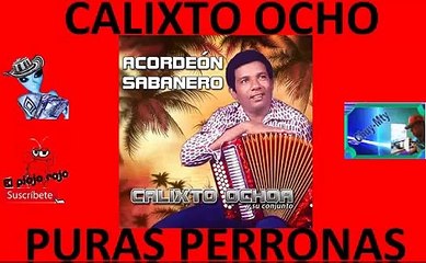 Calixto Ochoa Seleccion de exitos solo para conocedores antaño mix