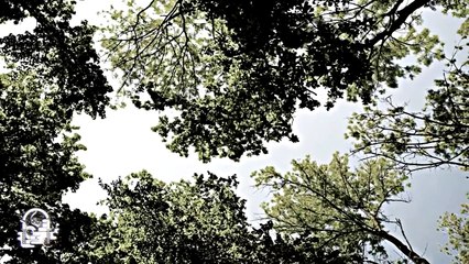 3 Historias De Terror Vol. 100 (Relatos De Horror)