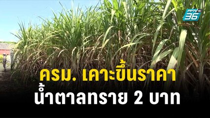 ครม. เคาะขึ้นราคาน้ำตาลทราย 2 บาท | โชว์ข่าวเช้านี้ | 15 พ.ย. 66