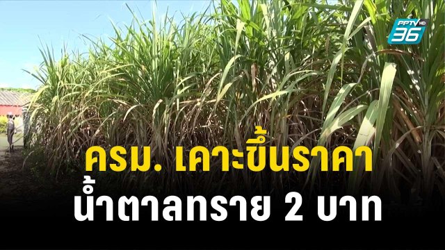 ครม. เคาะขึ้นราคาน้ำตาลทราย 2 บาท | โชว์ข่าวเช้านี้ | 15 พ.ย. 66