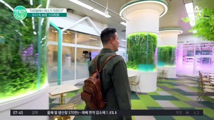지하철에서 농사를 짓는다고? 농약 없이 수경재배로 짓는 친환경 스마트팜!