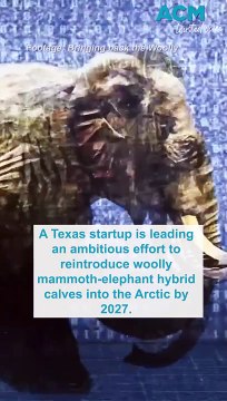 Woolly Mammoths could be our climate saviours