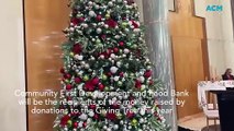 Christmas Giving Tree launched at Parliament House