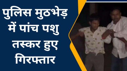 गाजीपुर में पुलिस और बदमाशों के बीच मुठभेड़, बदमाश हुए लंगड़ा