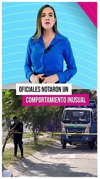 En la colonia Parques de Santa Cruz de Tlaquepaque, fue recuperado un camión repartidor de gas que momentos antes había sido reportado como robado. Fueron detenidos un par de sujetos en portación de un arma de fuego de utilería y un arma blanca #TuNotiRe