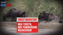 Mga turistang dumayo para sa 'Great Migration,' may pambihirang nasaksihan! | GMA Integrated Newsfeed