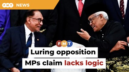 Claim of Anwar luring opposition MPs lacks logic, says analyst