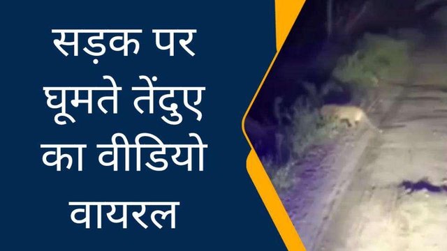 तेंदुए का वीडियो वायरल, गांव में दहशत
