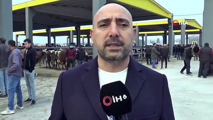 Kayseri Ticaret Borsası Canlı Hayvan Pazarı'na Yoğun İlgi