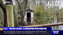 Inondations dans le Pas-de-Calais: ce refuge pour animaux submergé par les eaux