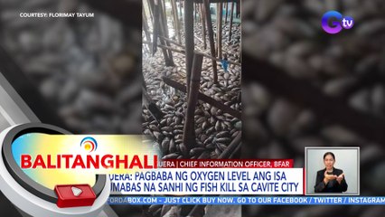 Pamalakaya: "alig" o masamang kalidad ng tubig ang dahilan ng Fish Kill | BT