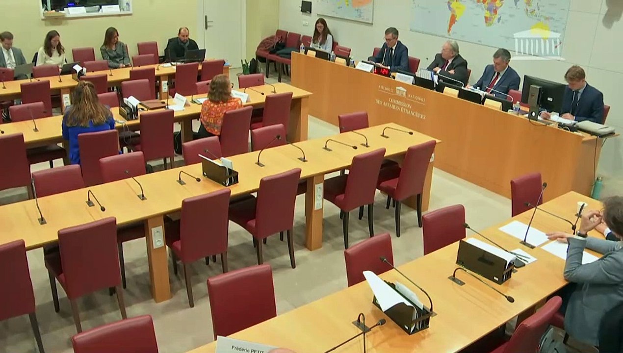 Commission des affaires étrangères : Audition de M. Philippe Lalliot, directeur du centre de crise et de soutien du ministère de l’Europe et des affaires étrangères, sur la situation en Israël et dans les territoires palestiniens - Mardi 14 novembre 2023