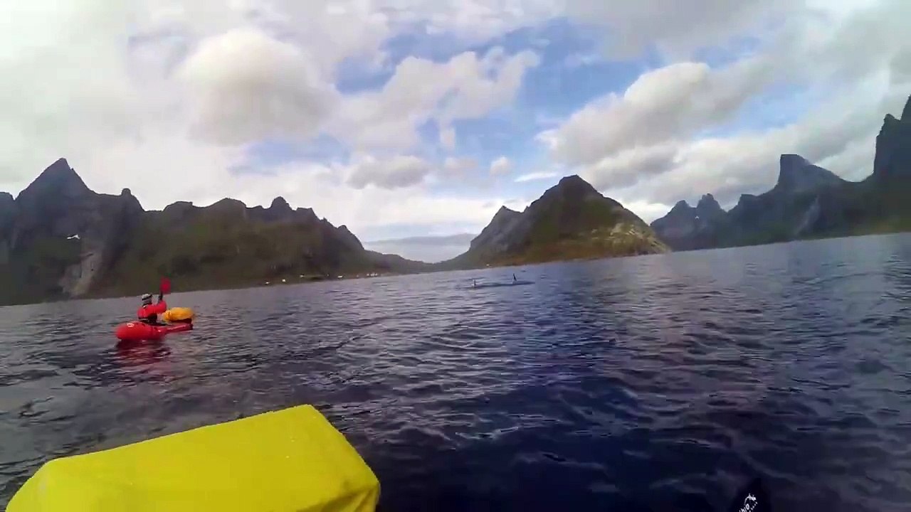 Packrafting mit Orcas _ Lofoten