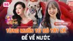 Người Kết Nối #98 _ Từ ý định bỏ thi Đại Học về nước đến trở thành Đại Sứ Du Lịch Châu Á Nhật Bản