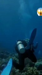 Sereemm...penampakan gempa ketika di dalam laut