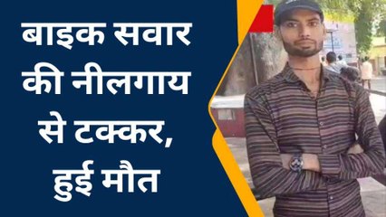 सीतापुर: नीलगाय से टक्कर में एक व्यक्ति की हुई मौत, देखिए कैसे हुआ हादसा