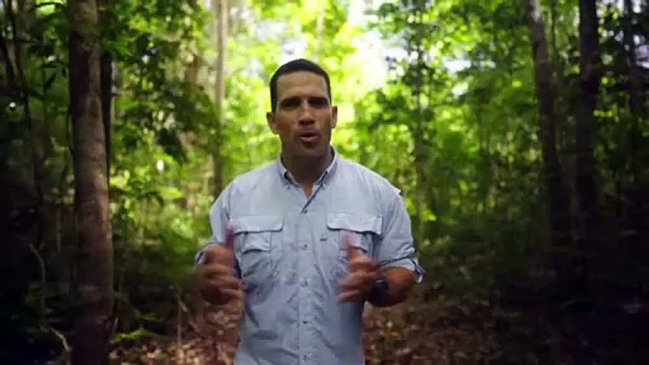 'Built to Survive' - Tráiler oficial - Butter Media