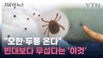 빈대보다 무섭다...'쯔쯔가무시증 환자' 한 달 새 5배 급증 [지금이뉴스] / YTN