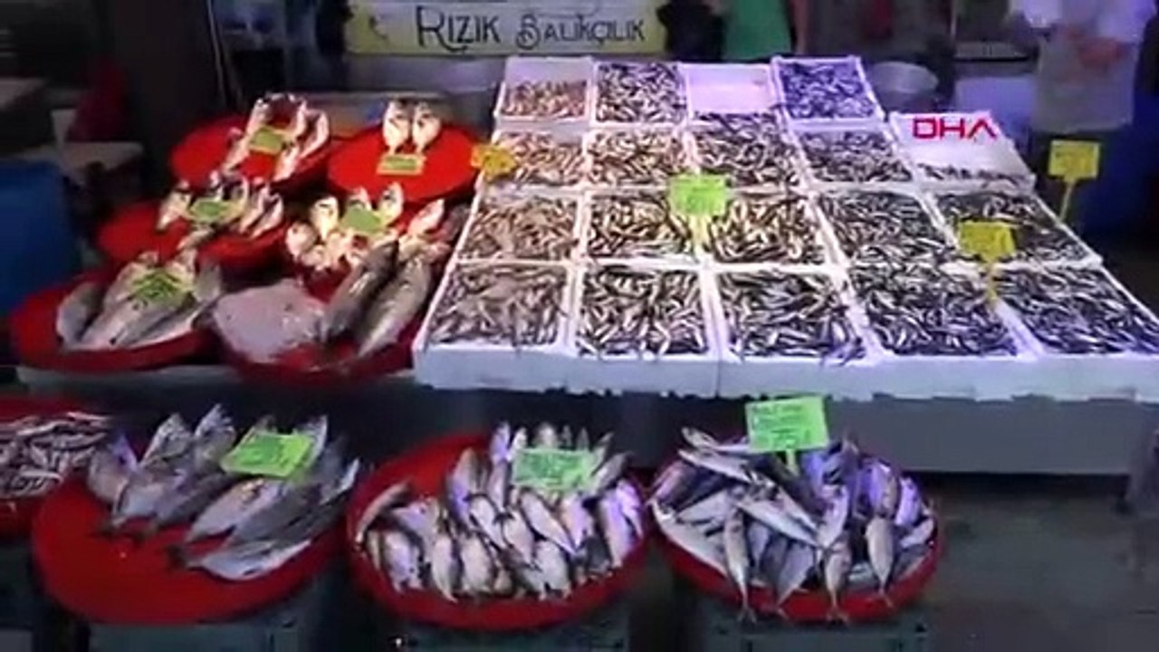 Hamside 'aşırı avcılık' ile yok olma tehlikesi