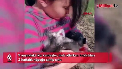 2 haftalık köpeğe 9 yaşındaki ikizler sahip çıktı