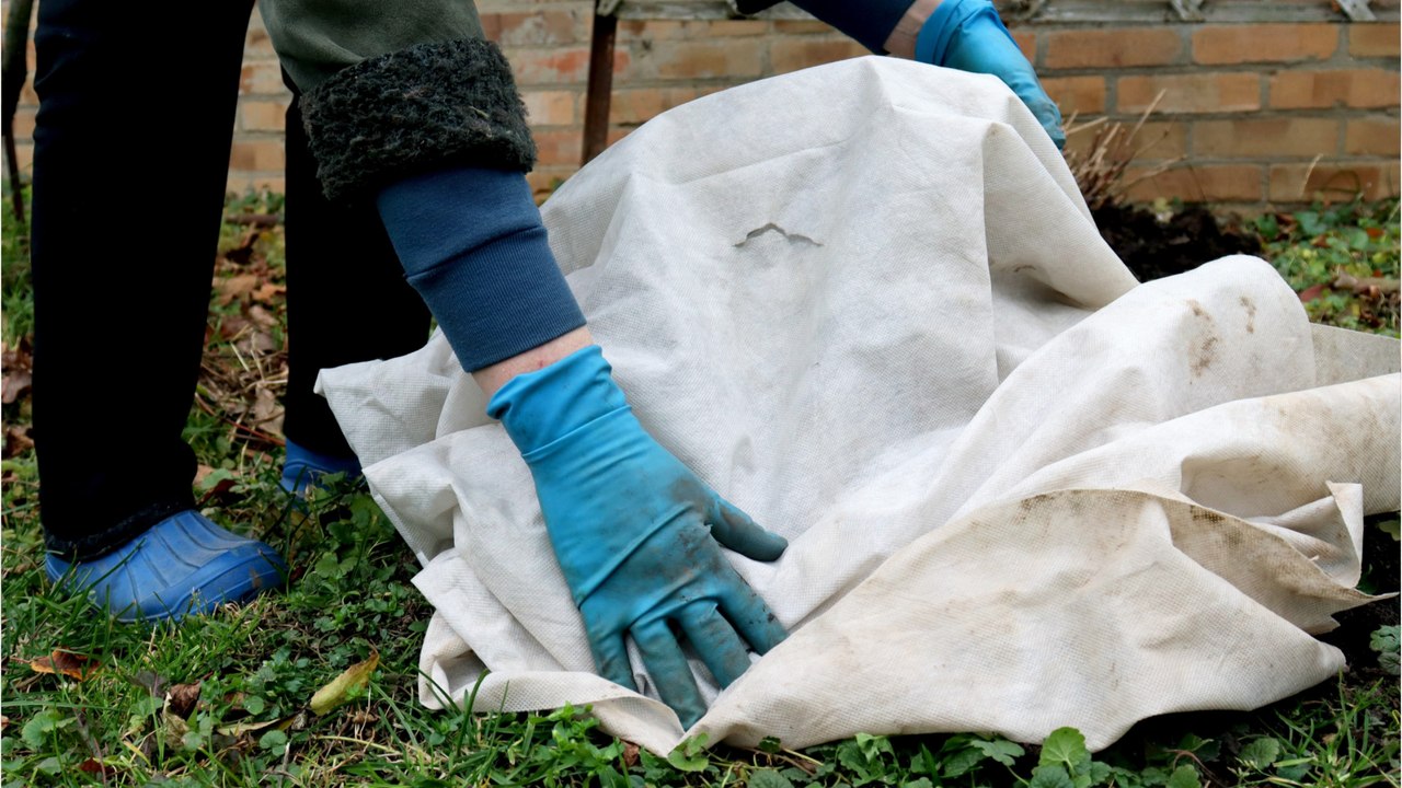 Vor dem Frost: Pflanzen im Freien gut eingepacken