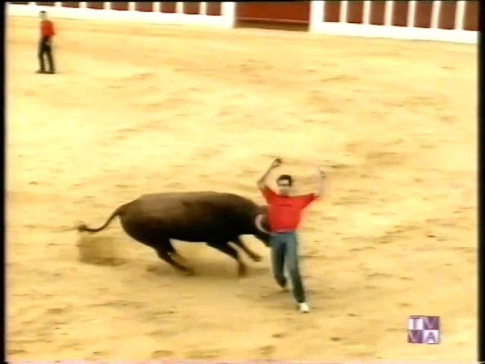 4ª CONCURSO DE CORTES-CIUDAD DE VALLADOLID