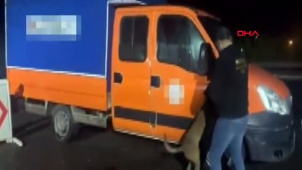 Gaziantep'te 28 Kilo Skunk Ele Geçirildi, 2 Şüpheli Tutuklandı