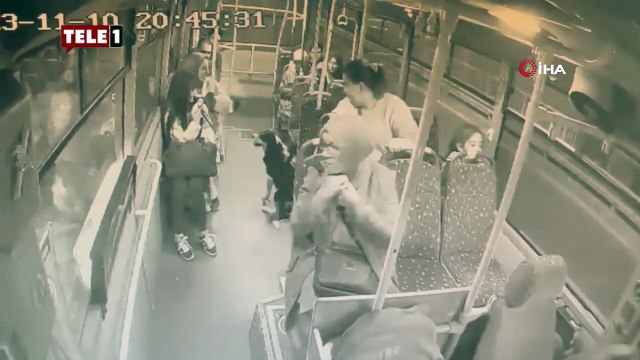 Durakta bekleyen köpek otobüse binip gideceği yere kadar yolculuk yaptı