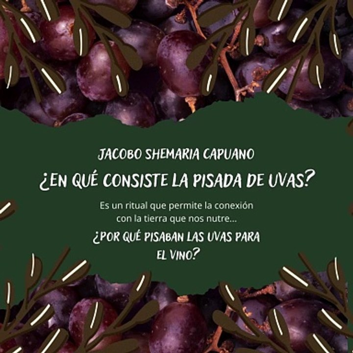 -Jacobo Shemaria Capuano- ¿Por qué pisaban las uvas para el vino? (Parte 1) (Creado por @JacoboShemariaCapuano)