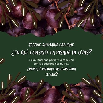 -Jacobo Shemaria Capuano- ¿Por qué pisaban las uvas para el vino? (Parte 1) (Creado por @JacoboShemariaCapuano)
